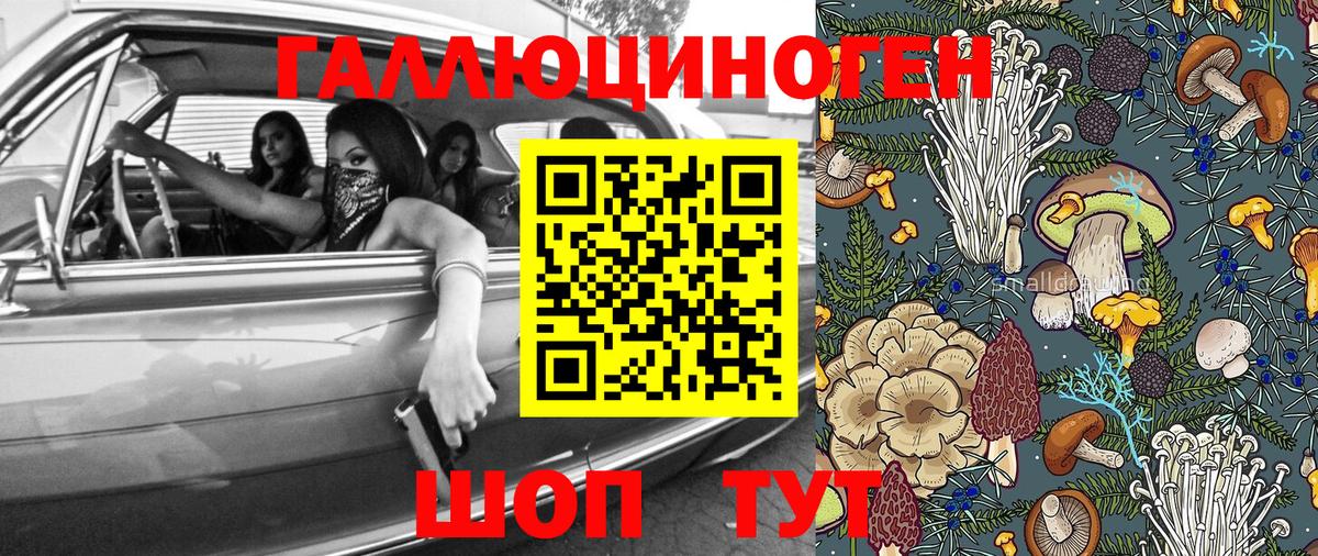Галлюциногенные грибы Magic Shrooms  Вход с VPN  Избербаш 